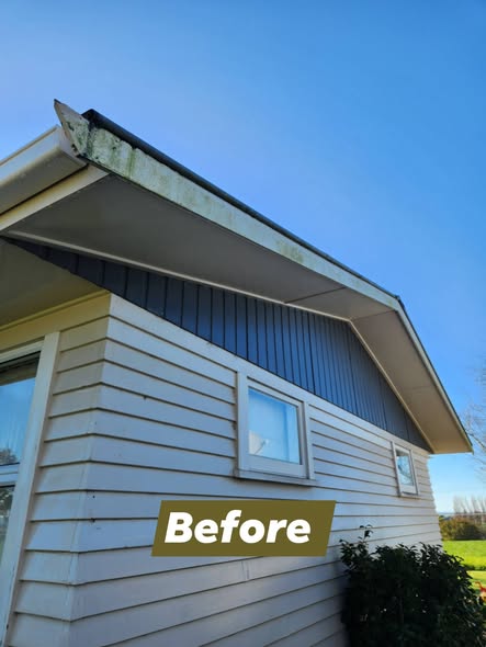 House cladding and soffits with moss and grime before washing