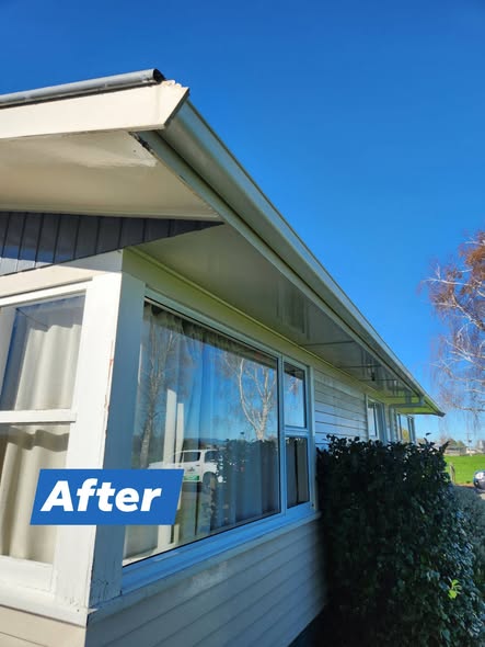 Soft washed eaves and window joinery